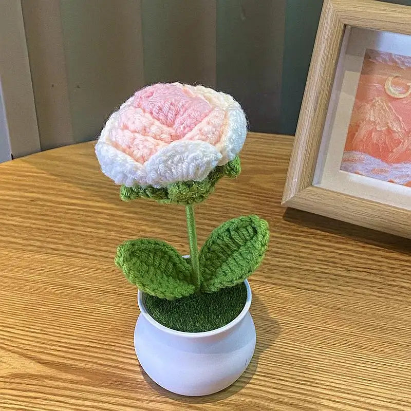 DIY Handwoven Mini Potted Flower Rose Office Desktop Ornamental Potted Plants Woolen Thread Finished Product Home Decoration