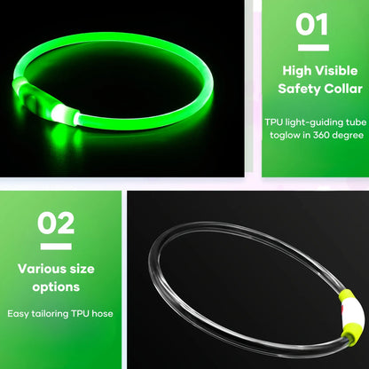 USB Rechargeable LED Light-Up Dog Collar