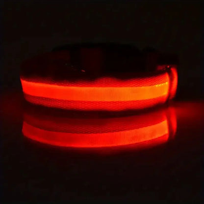 LED Flashing Glow-in-the-Dark Nylon Dog Leash