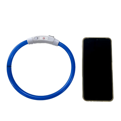 USB Rechargeable LED Light-Up Dog Collar