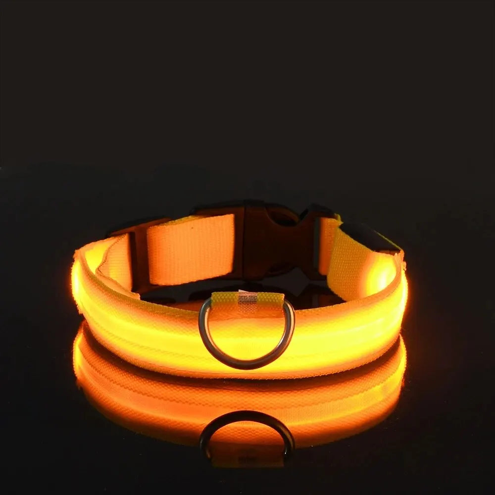 LED Flashing Glow-in-the-Dark Nylon Dog Leash