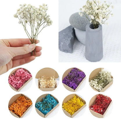 Flower Eternal Dry Flowers Gypsophila Floral Arrangement Dried Flower Creative DIY Home Wedding Decoration Gift 50 Pieces