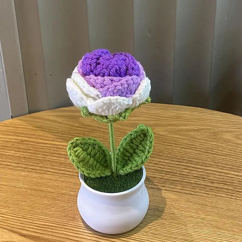 DIY Handwoven Mini Potted Flower Rose Office Desktop Ornamental Potted Plants Woolen Thread Finished Product Home Decoration