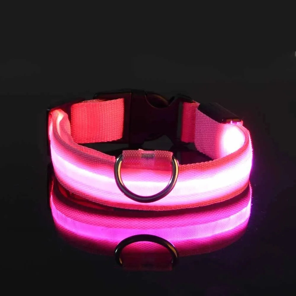 LED Flashing Glow-in-the-Dark Nylon Dog Leash