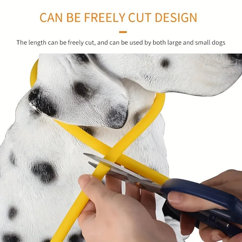 USB Rechargeable LED Light-Up Dog Collar