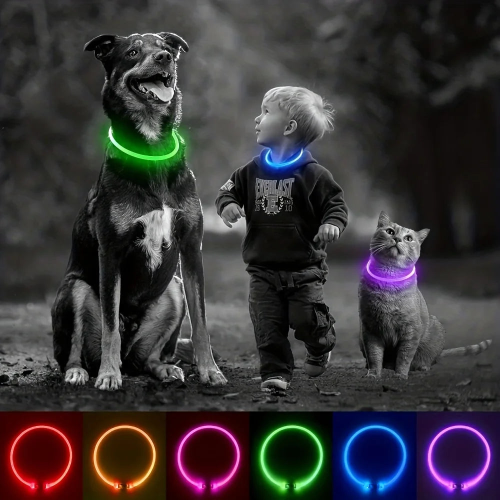USB Rechargeable LED Light-Up Dog Collar