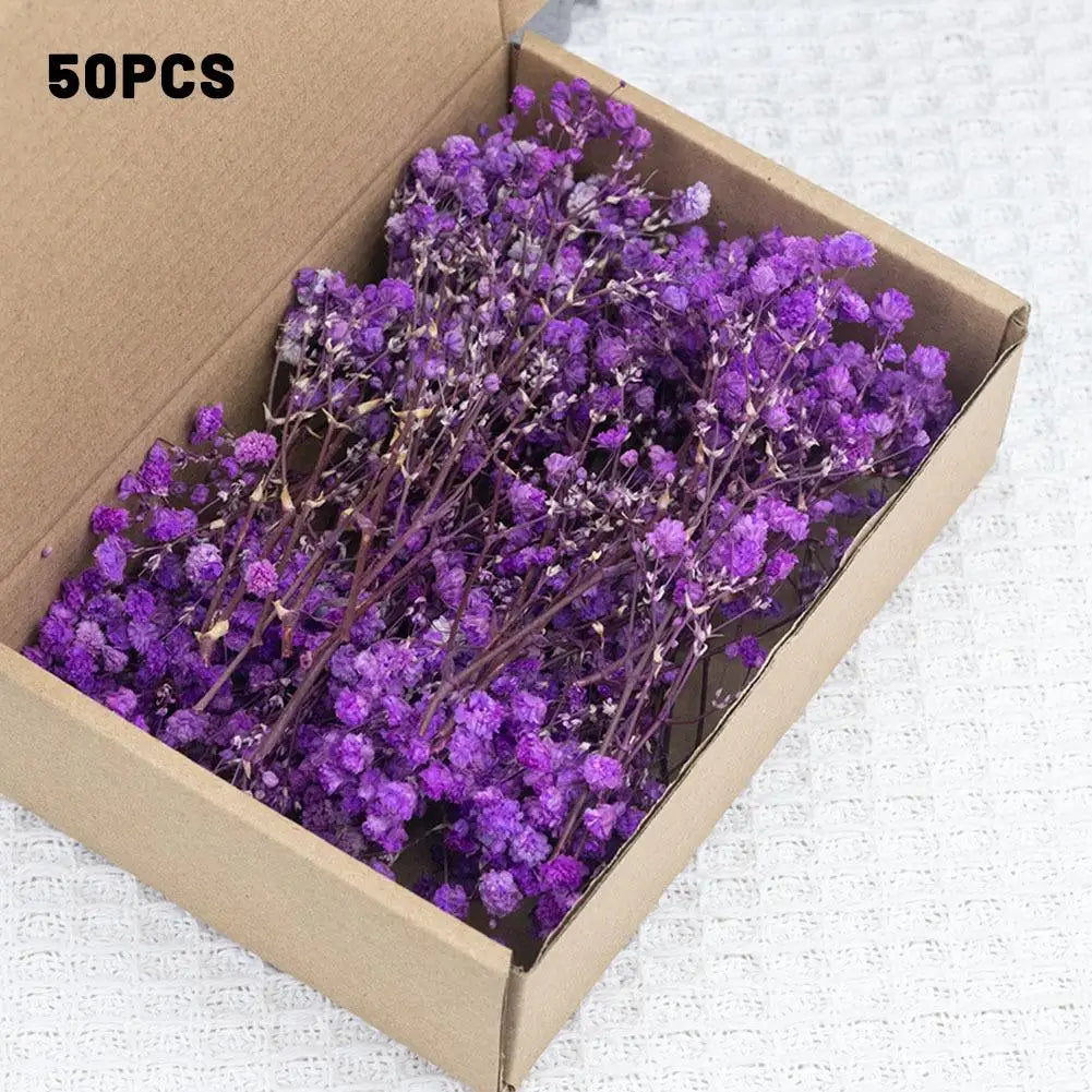 Flower Eternal Dry Flowers Gypsophila Floral Arrangement Dried Flower Creative DIY Home Wedding Decoration Gift 50 Pieces