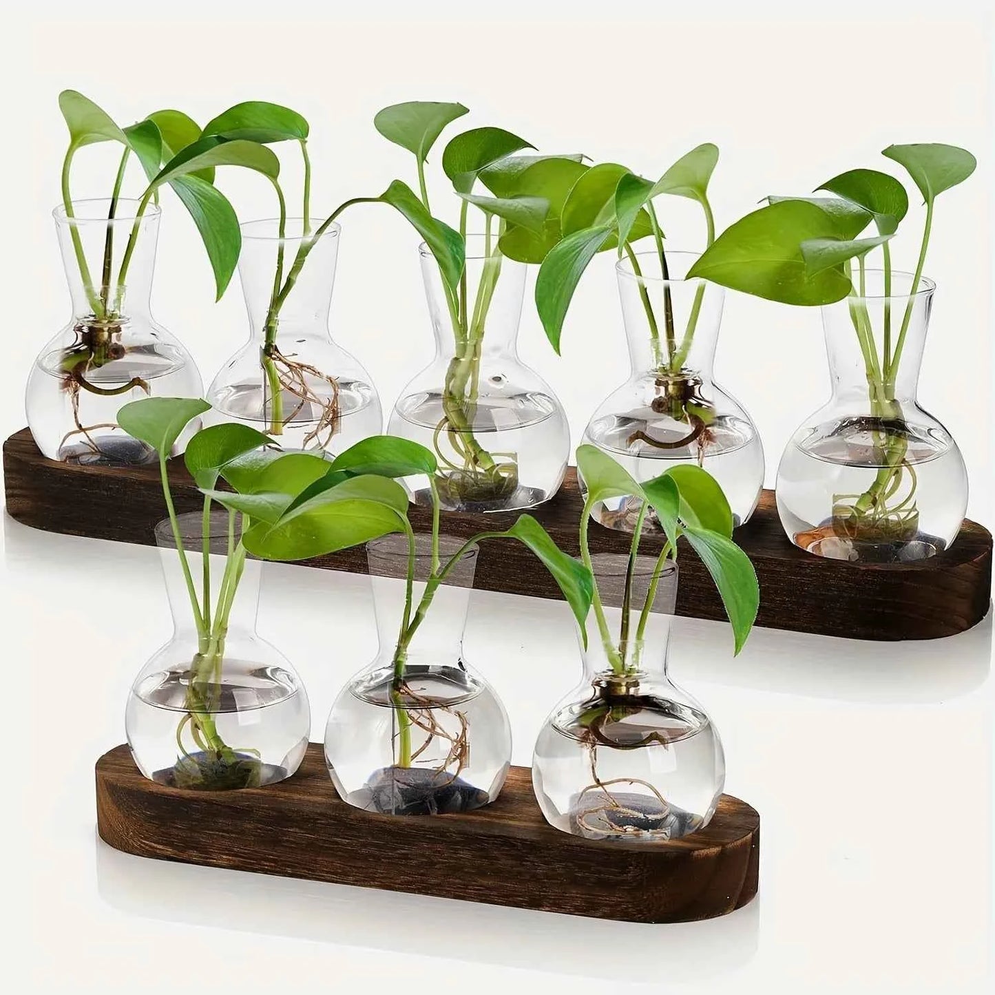 Modern Glass Plant Terrarium with Wooden Tray – Hydroponic Vase for Indoor Propagation Station, Desktop Home Office Decor