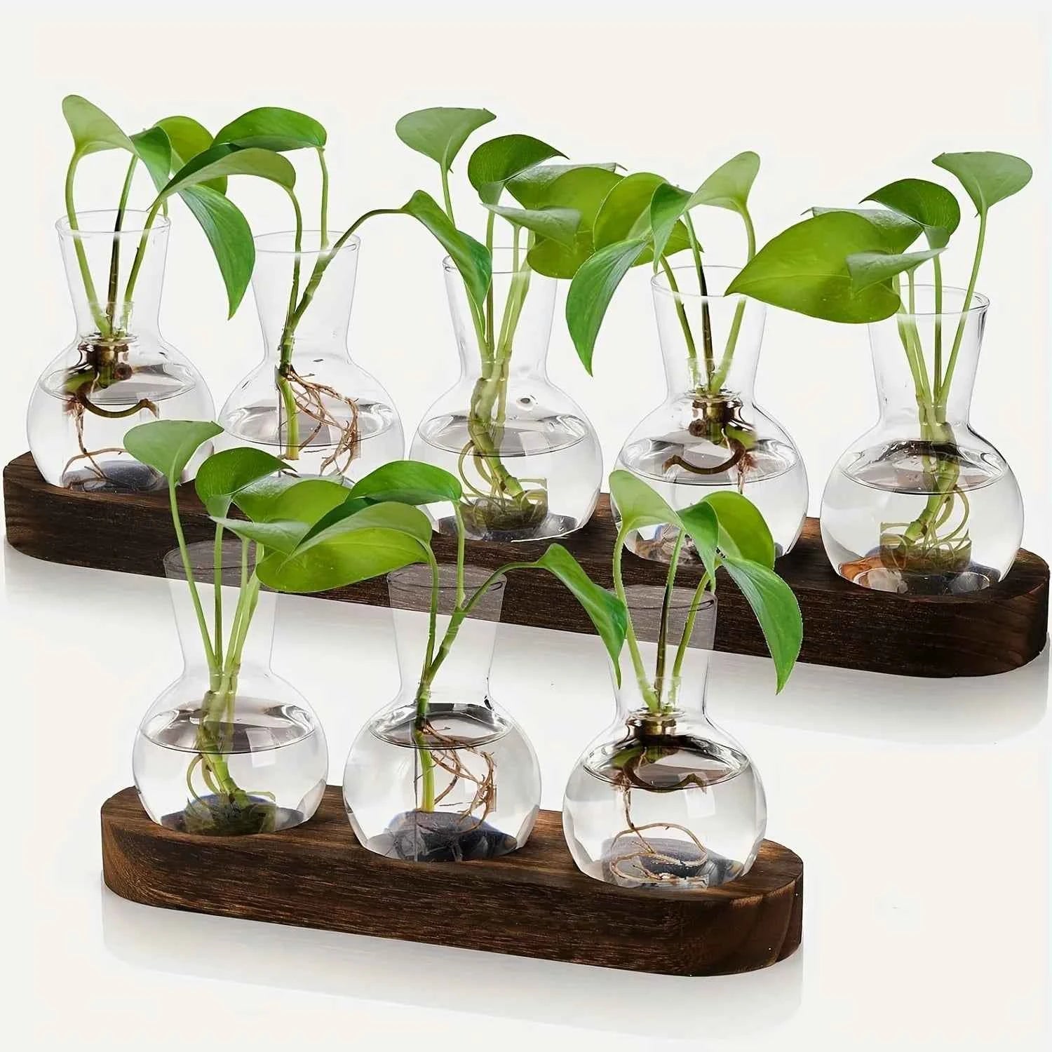 Modern Glass Plant Terrarium with Wooden Tray – Hydroponic Vase for Indoor Propagation Station, Desktop Home Office Decor