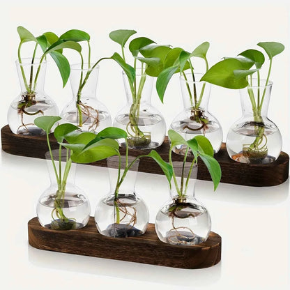 Modern Glass Plant Terrarium with Wooden Tray – Hydroponic Vase for Indoor Propagation Station, Desktop Home Office Decor