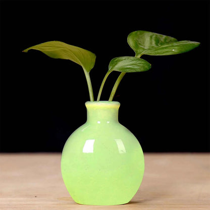 Ceramic Flower Vase Pot Hydroponic Bottle Creative Vase for Plants Office Desktop Ornament Home Room Decor Garden Flowerpot