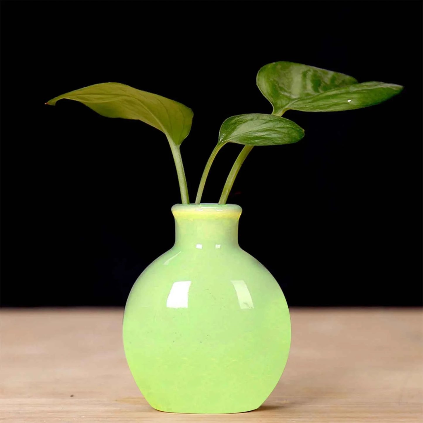 Ceramic Flower Vase Pot Hydroponic Bottle Creative Vase for Plants Office Desktop Ornament Home Room Decor Garden Flowerpot