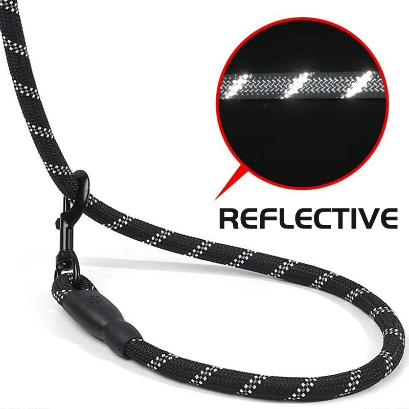 Heavy-Duty Reflective Dog Leash with Padded Handle