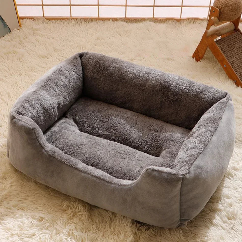 Cushioned Basket Bed for Cats & Small Dogs