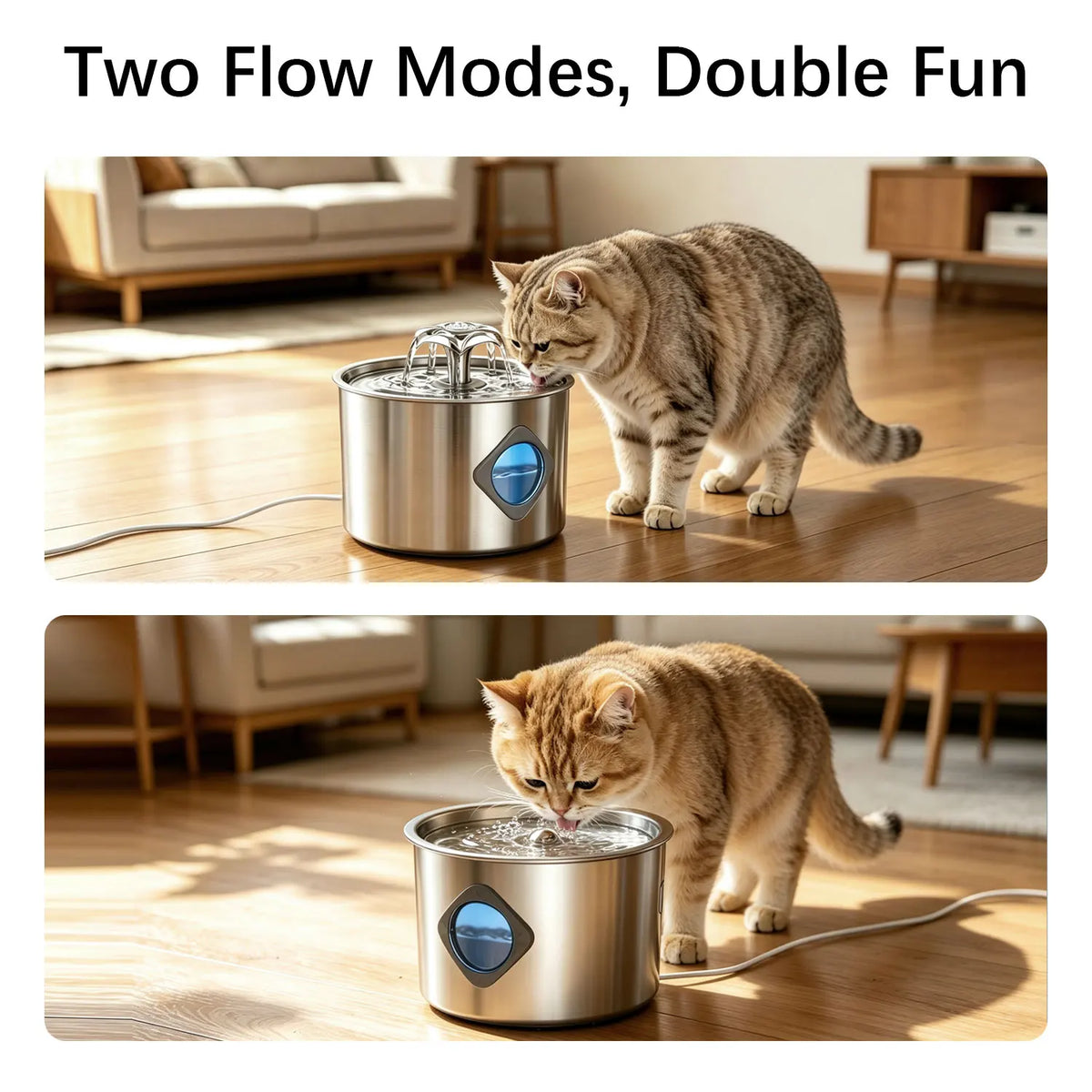 Stainless Steel Cat Water Fountain, 74oz, Quiet Pump