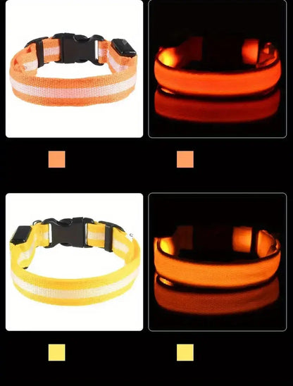 LED Flashing Glow-in-the-Dark Nylon Dog Leash