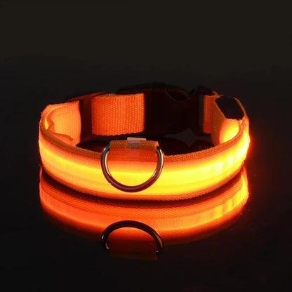 LED Flashing Glow-in-the-Dark Nylon Dog Leash