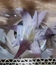 Pink Flocking Artificial Succulents Plants With Pot For Home Garden Decoration Fake Bonsai Flower Planta Artificial Accessories