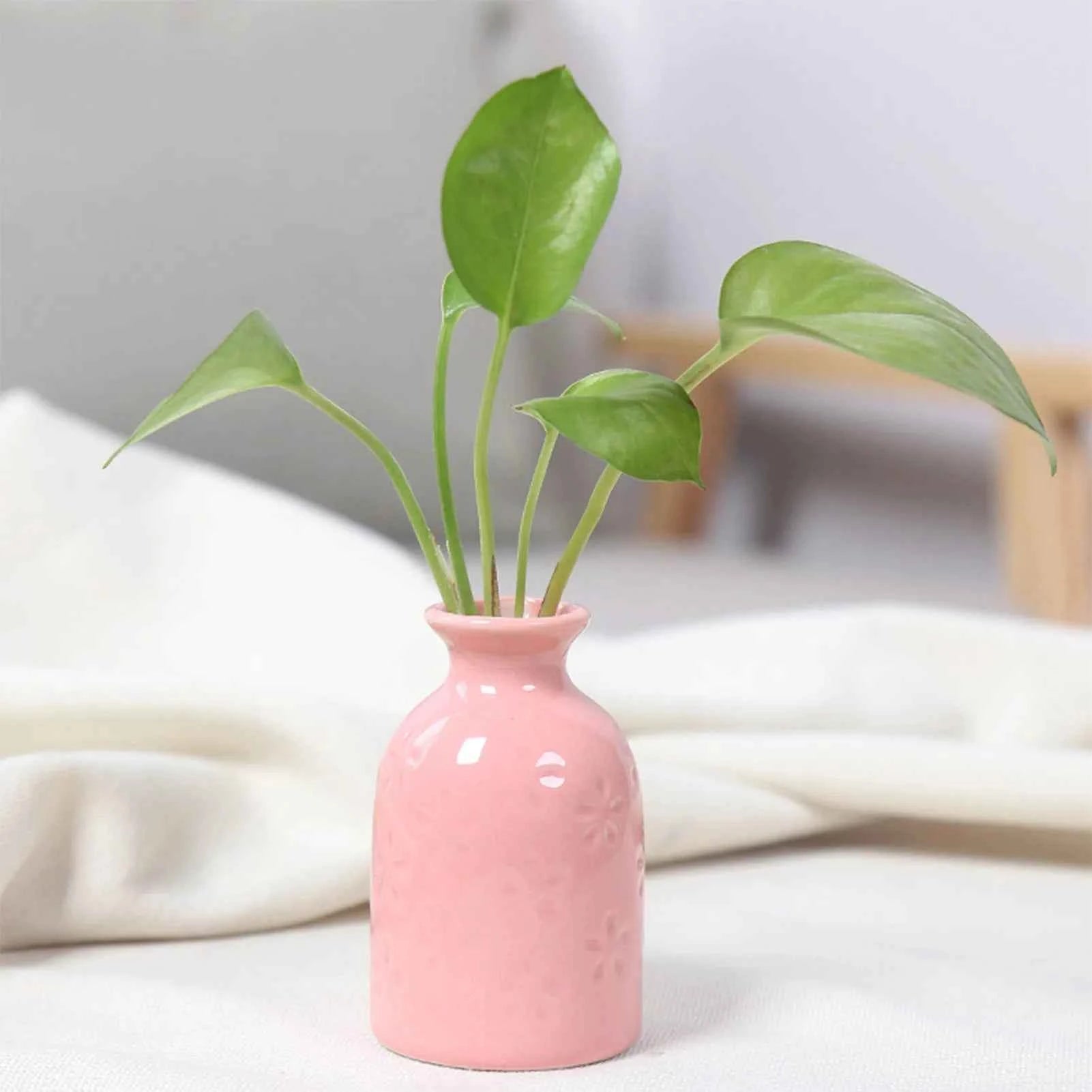 Ceramic Flower Vase Pot Hydroponic Bottle Creative Vase for Plants Office Desktop Ornament Home Room Decor Garden Flowerpot
