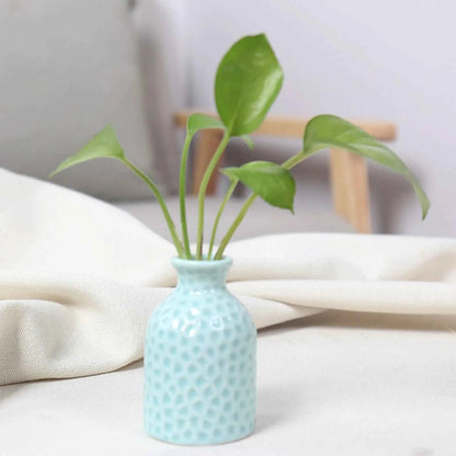 Ceramic Flower Vase Pot Hydroponic Bottle Creative Vase for Plants Office Desktop Ornament Home Room Decor Garden Flowerpot