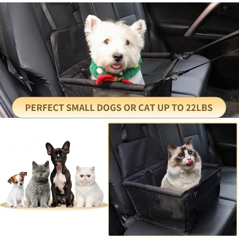 Elevated Dog Booster Car Seat, Adjustable Safety Strap