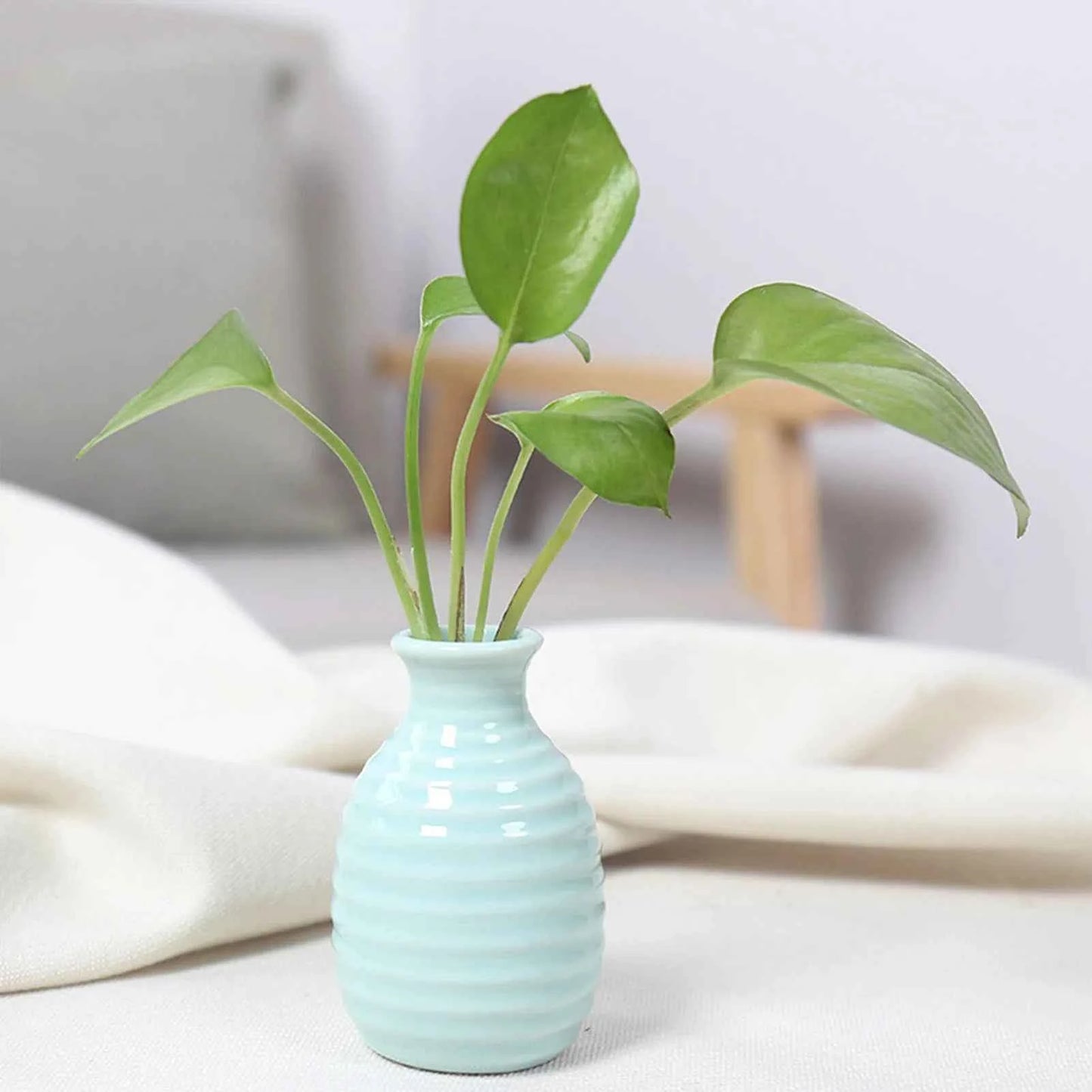 Ceramic Flower Vase Pot Hydroponic Bottle Creative Vase for Plants Office Desktop Ornament Home Room Decor Garden Flowerpot