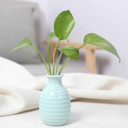 Ceramic Flower Vase Pot Hydroponic Bottle Creative Vase for Plants Office Desktop Ornament Home Room Decor Garden Flowerpot