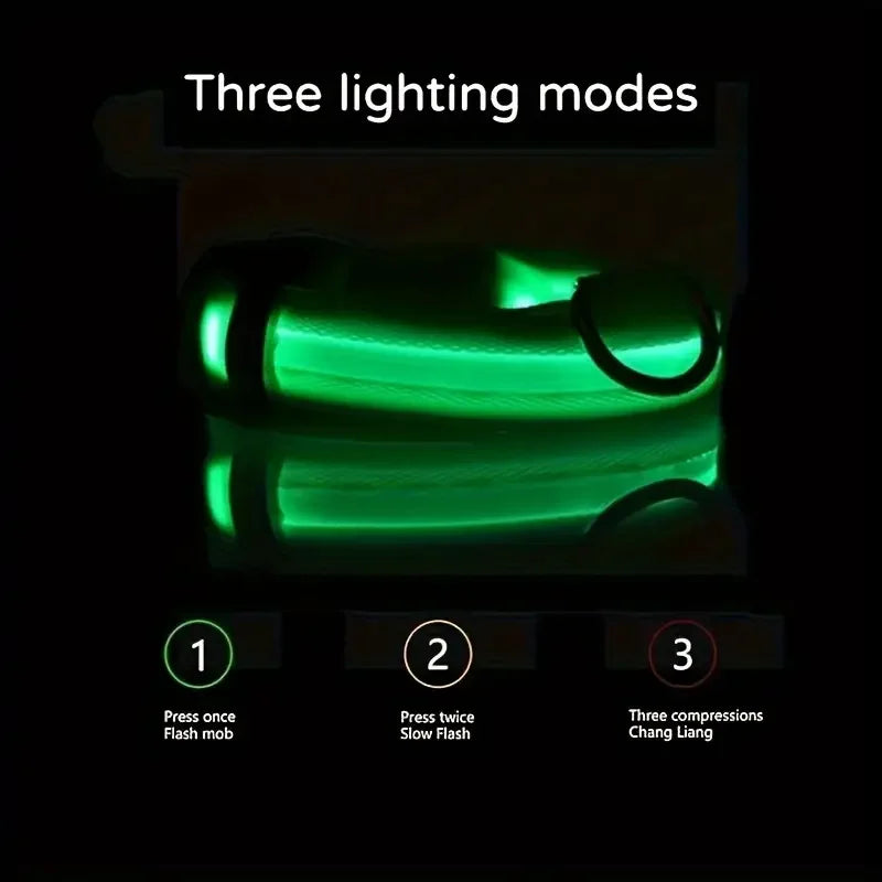 LED Flashing Glow-in-the-Dark Nylon Dog Leash
