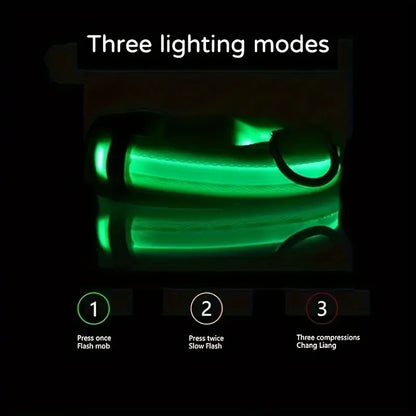 LED Flashing Glow-in-the-Dark Nylon Dog Leash