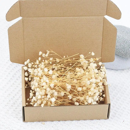 Flower Eternal Dry Flowers Gypsophila Floral Arrangement Dried Flower Creative DIY Home Wedding Decoration Gift 50 Pieces