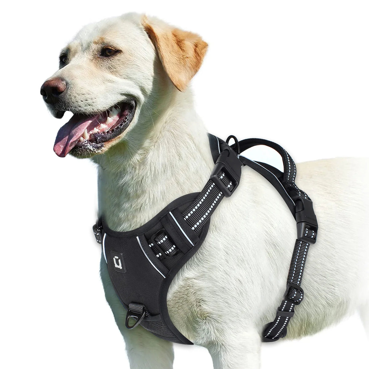 No-Pull Adjustable Dog Harness with Control Handle
