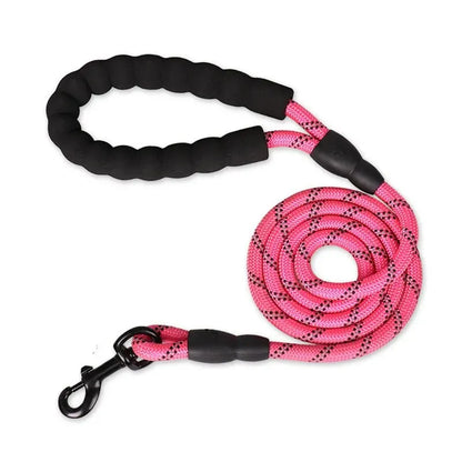 Heavy-Duty Reflective Dog Leash with Padded Handle