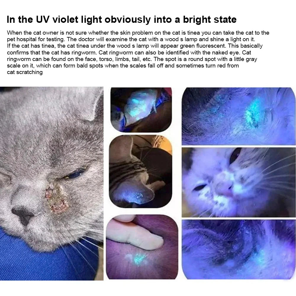 365nm UV Veterinary Wood's Lamp for Pet Fungus Detection