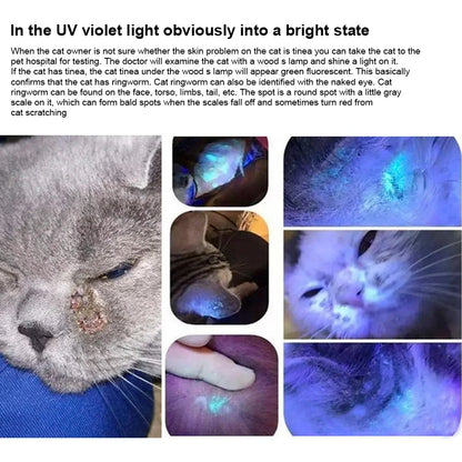365nm UV Veterinary Wood's Lamp for Pet Fungus Detection