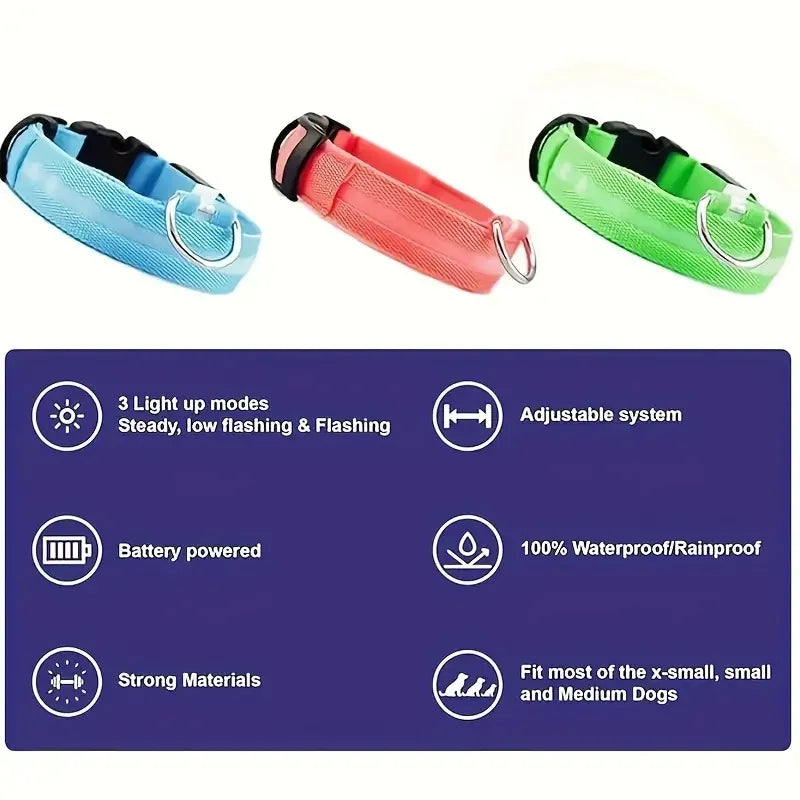 LED Flashing Glow-in-the-Dark Nylon Dog Leash