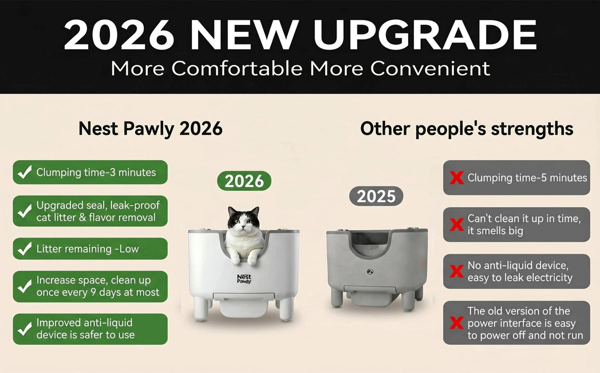 Self-Cleaning Automatic Cat Litter Box, Open Top
