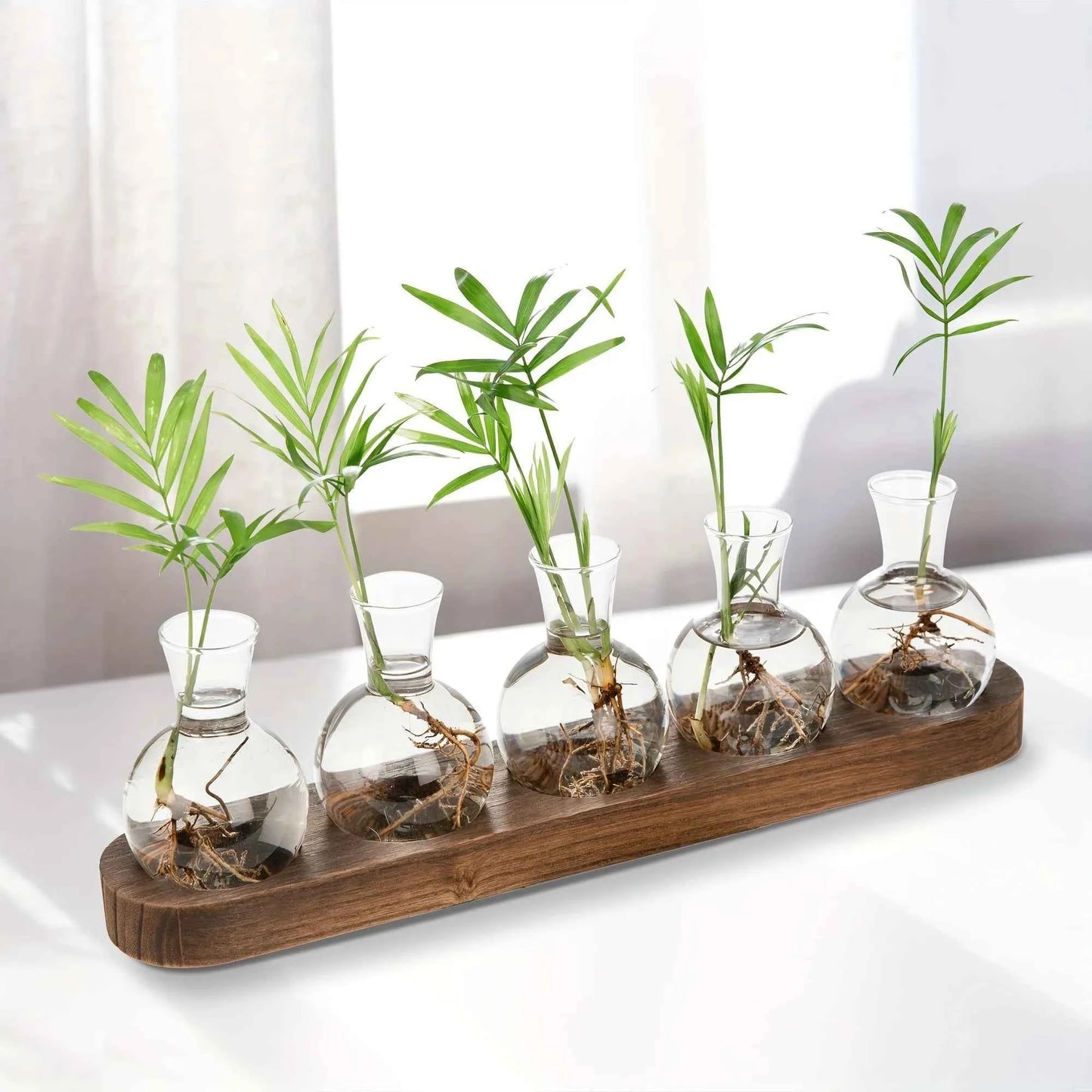 Modern Glass Plant Terrarium with Wooden Tray – Hydroponic Vase for Indoor Propagation Station, Desktop Home Office Decor