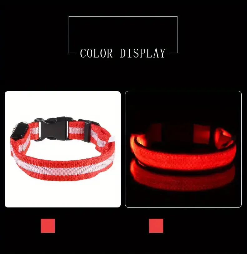 LED Flashing Glow-in-the-Dark Nylon Dog Leash