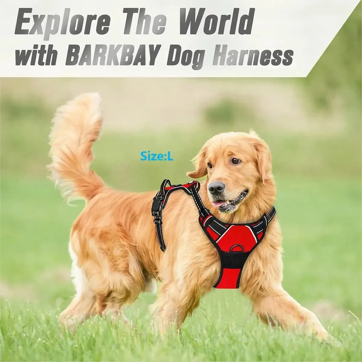 Dog Collar, Harness & Leash Set — Leather Puppy Accessories for Small, Medium & Large Dogs