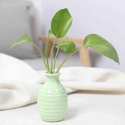 Ceramic Flower Vase Pot Hydroponic Bottle Creative Vase for Plants Office Desktop Ornament Home Room Decor Garden Flowerpot