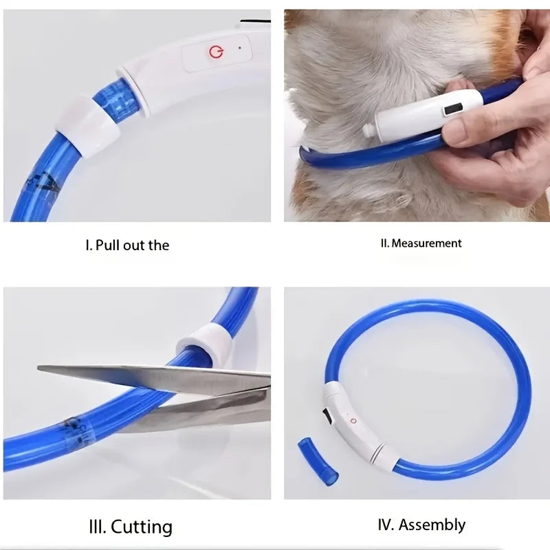 USB Rechargeable LED Light-Up Dog Collar