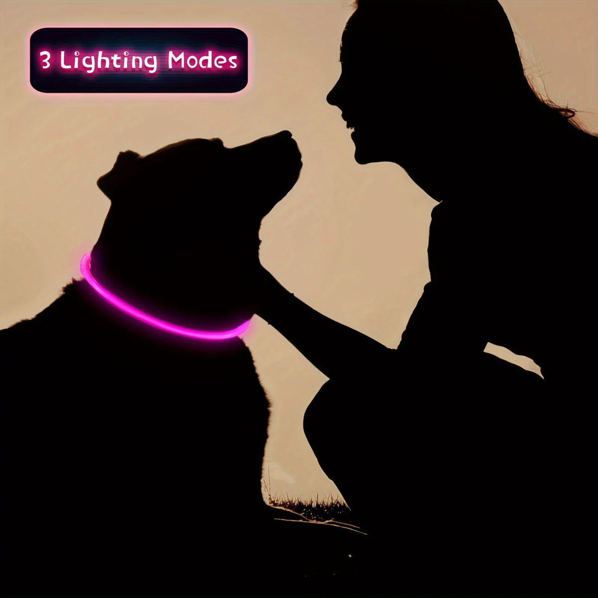 USB Rechargeable LED Light-Up Dog Collar
