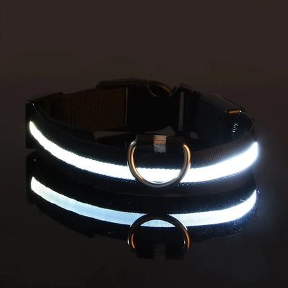 LED Flashing Glow-in-the-Dark Nylon Dog Leash