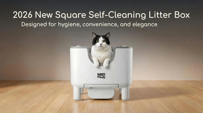 Self-Cleaning Automatic Cat Litter Box, Open Top