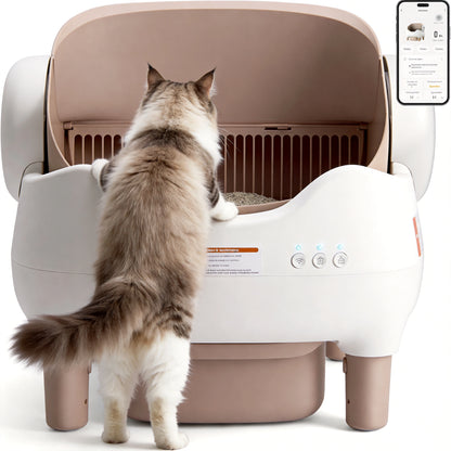 Self-Cleaning Cat Litter Box — Open-Top, APP Control & 10L Waste Bin for Multi-Cats