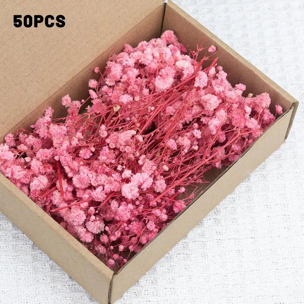 Flower Eternal Dry Flowers Gypsophila Floral Arrangement Dried Flower Creative DIY Home Wedding Decoration Gift 50 Pieces