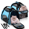 Foldable Mesh Pet Carrier Bag