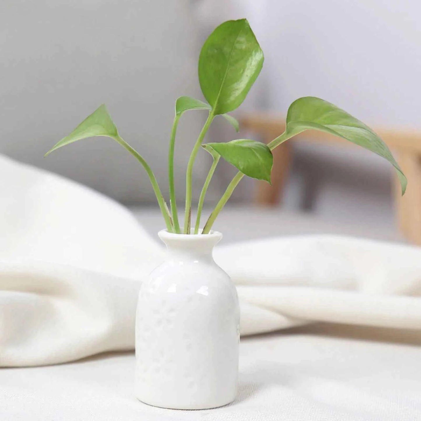 Ceramic Flower Vase Pot Hydroponic Bottle Creative Vase for Plants Office Desktop Ornament Home Room Decor Garden Flowerpot