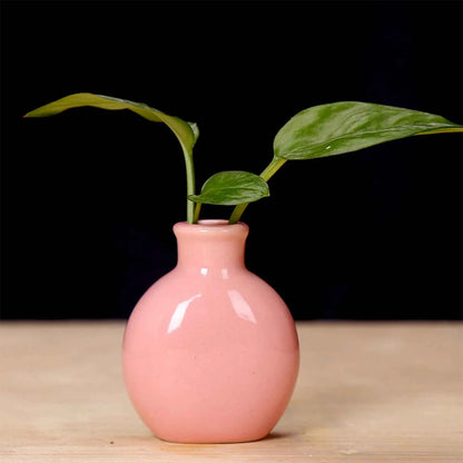 Ceramic Flower Vase Pot Hydroponic Bottle Creative Vase for Plants Office Desktop Ornament Home Room Decor Garden Flowerpot