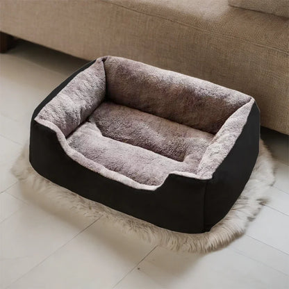 Cushioned Basket Bed for Cats & Small Dogs